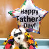 YELLOW ORANGE FLOWERS AND PUPPY WITH BALLOON OR WITH ALL BLUE OR