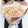 A fluffy cloud of pinky-green hydrangeas. 6 hydrangeas. 