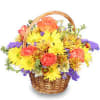 Basket of mixed yellow, orange, purple, and red flowers
