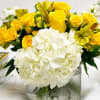 Beautiful flowers perfect for a desk or a sofa table