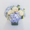 Beautiful blue hydrangea with white roses.  Short compact arrangement.  
Upgrades