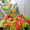 Please allow 5&ndash;7 business days for all sympathy arrangements to ensure they