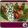 3 red anthurium, 1 bird of paradise, 1 red ginger, 2 dendrobium