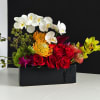 Arching white Phalaenopsis orchids curve gracefully over vivid red roses in a