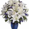  Pet Friendly?
No. This arrangement includes lilies, which are toxic to cats