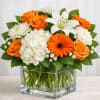 A bright mix of orange and white blooms with lush salal greenery