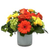 Florida Citrus Shows off Its Oranges, Limes and Lemons with Beautiful Roses