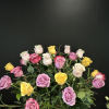 Features a variety of colors of roses 