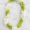 Double White and green Chunk Lei
(Only available for pick up June 4th