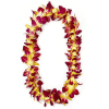 Single USC colors
(Only available for pick up June 4th 2026)
Please note that