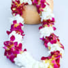 Pink and white orchid lei draped around a coconut shell