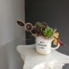 Precious succulent arrangement in a mug with a dried orange accent