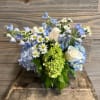 A collection for seasonal blooms in blues and whites.