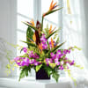 Tropical flower arrangement with purple orchids and bird of paradise in a dark vase