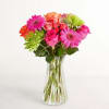  Pet Friendly?
No This arrangement contains Spider Mums (Chrysanthemums), which are toxic
