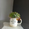 Precious succulent arrangement in a mugwith a brown and yellow bow.