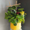 Prayer plant and Kalanchoe mixed plant arrangement in a yellow pot