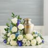  Pet Friendly?
No This arrangement contains Eucalyptus and Chrysanthemums (Mums), both of