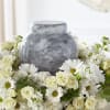  Pet Friendly?
No This arrangement contains Daisy Pompons (Chrysanthemums), which are toxic