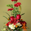 red gerbera daisies with red roses and red and orange Asiatic lily's