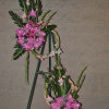 two in one sympathy arrangement on a easel. pink roses with stargazers