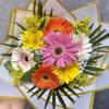 Bouquet of colorful gerbera daisies wrapped in white and gold paper