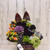 Halloween hat box with blacks roses. 