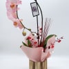 Orchid, plant, color, may change   and vase me change versus