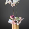 Orchid plant has four stems of orchids and one green plant, styles