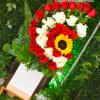 Arrangement will be made similar to photo


Flower delivery montebello ,Whittier,Pasadena,Downey,Pico Rivera,la habradowntown