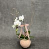 Cascading white Phalaenopsis orchids bring quiet elegance to any room - a