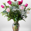 One dozen of the most beautiful long stem roses from Ecuador. 
Color