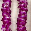 Celebrate your graduate&rsquo;s big moment with a stunning, fresh orchid lei in
