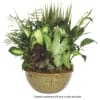 Mixed green houseplants arranged in a ceramic bowl planter