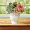 This adorable "selfie" vase is filled with succulents, hydrangea &amp; gerbera. 