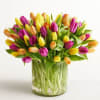  Pet Friendly?
No Tulips are toxic to both cats and dogs, particularly