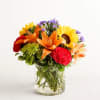  Pet Friendly?
Yes. Roses, carnations, and alstroemeria are generally considered non-toxic to