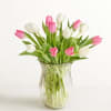  Pet Friendly?
No According to the ASPCA, Tulips contain compounds that are