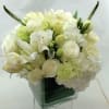 White and pale green bouquet in a clear square vase