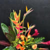 a mixture of tropical flowers