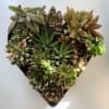 Beautiful assorted succulents in a gold heart container. One of a kind
