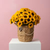 The Sunshine Brief
Your daily reminder that beautiful things exist. A vibrant, uplifting