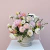 Soft Season
The most beautiful time of year, captured in blooms. Delicate pinks