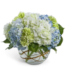 Modern Hydrangea features a clean, rounded design of lush hydrangeas arranged in