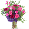 Delight in the rich purple tones of one of our floral favorites
