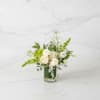 Whites and greens will always be chic  - and this collection
