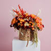 The Autumn Edit
A love letter to the season's most stunning palette. Rich