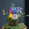 Celebrate the beauty of the season with Rainbow , a fresh and