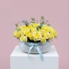 Malibu Morning
Fresh off the coast and absolutely glowing. A bright, breezy arrangement