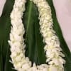 White flower lei draped over large green leaves